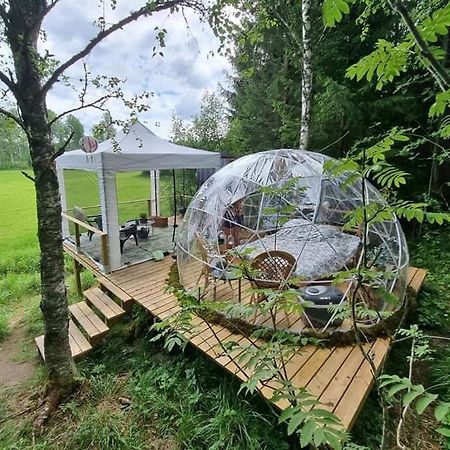 Kaerrbaecks Bubbla Tarnsjo エクステリア 写真