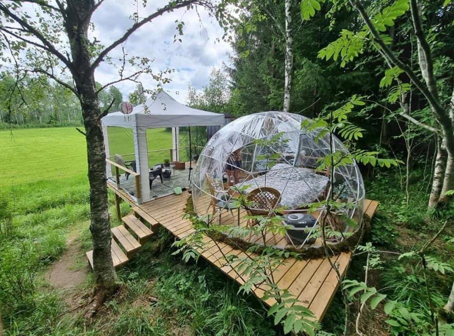Kaerrbaecks Bubbla Tarnsjo エクステリア 写真